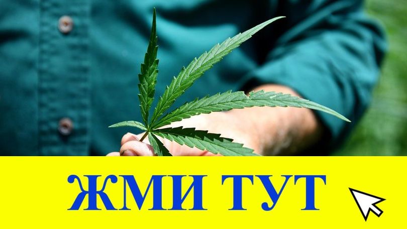 Купить наркотики в Тихвине